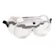 10.0005 safety goggle PW21CLR