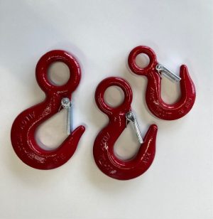 Eye Type Hoist Hook with catch